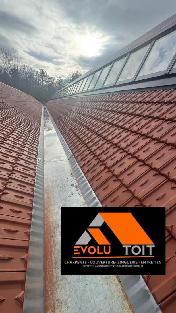 Travaux de zinguerie et noue zinc par Evolu'Toit
